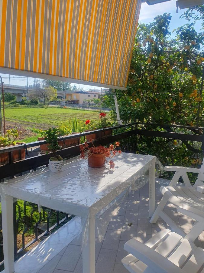 Ospitalita Il Noce Bed & Breakfast Brusciano Ngoại thất bức ảnh