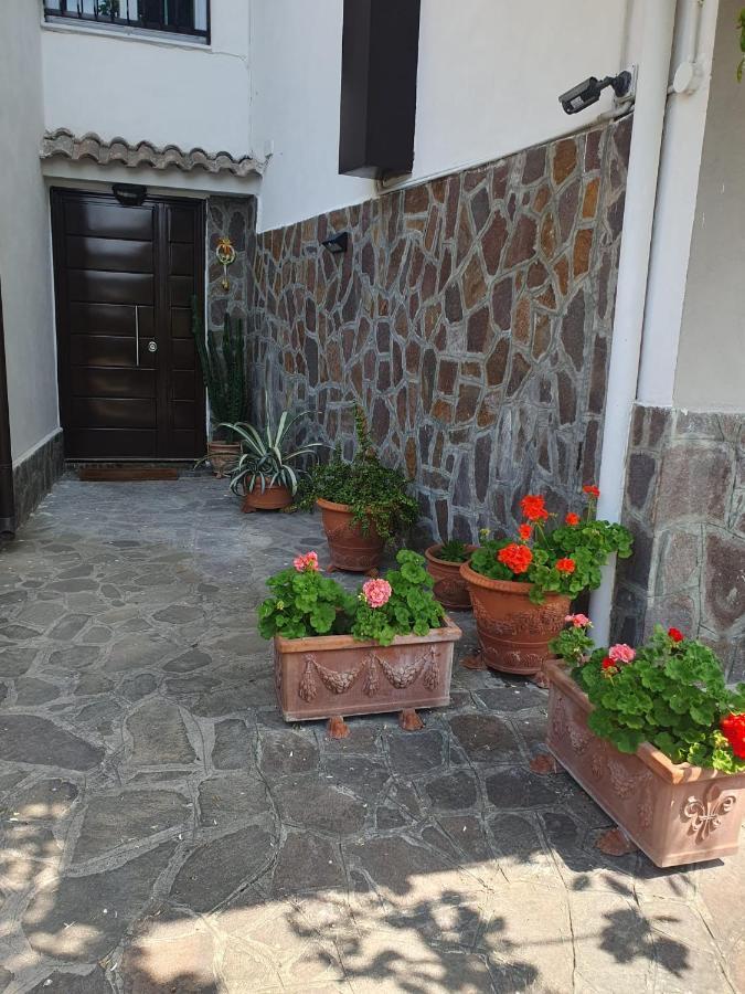 Ospitalita Il Noce Bed & Breakfast Brusciano Ngoại thất bức ảnh